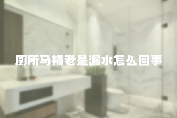 廁所馬桶老是漏水怎么回事