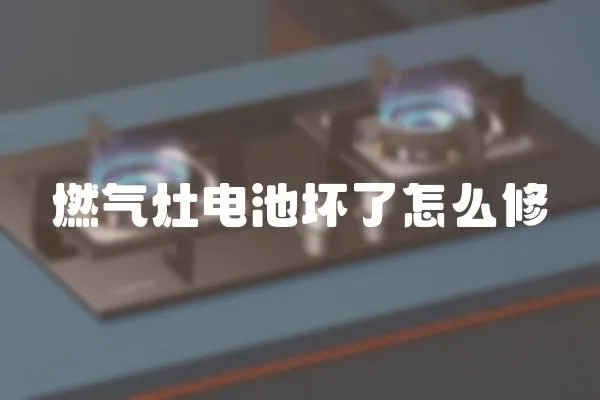 燃?xì)庠铍姵貕牧嗽趺葱?></a></div>
                    </div>
                    <div   id=