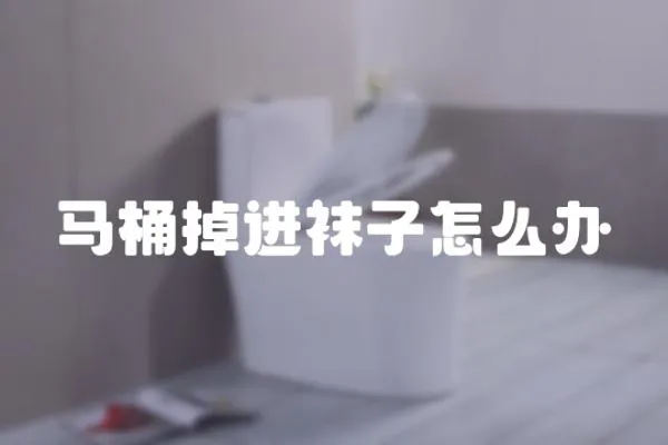 馬桶掉進襪子怎么辦
