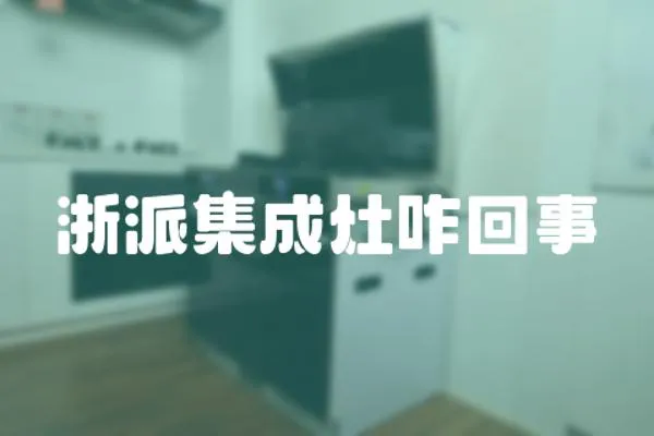 浙派集成灶咋回事