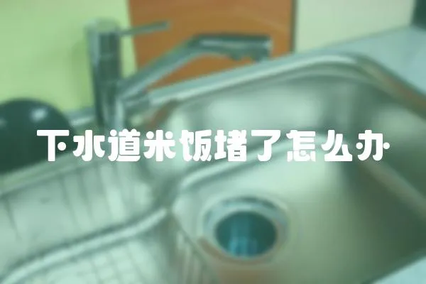 下水道米飯堵了怎么辦