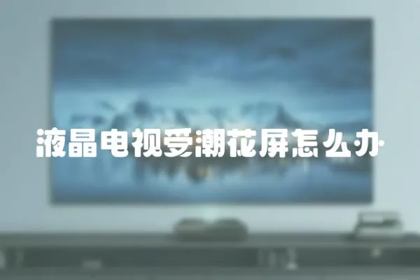 液晶電視受潮花屏怎么辦