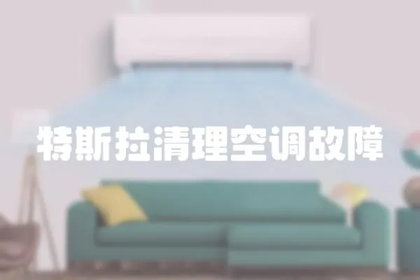 特斯拉清理空調故障