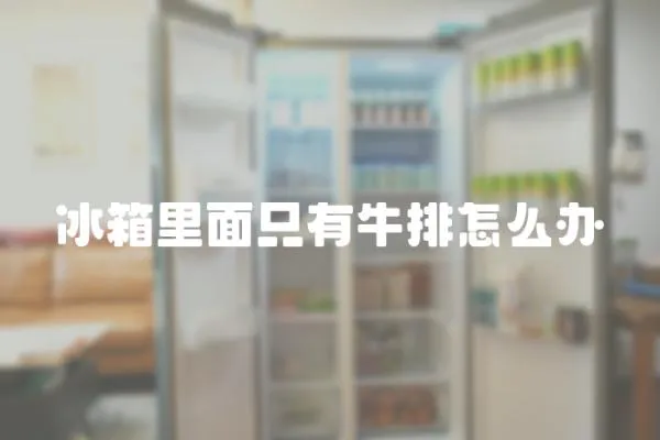 冰箱里面只有牛排怎么辦