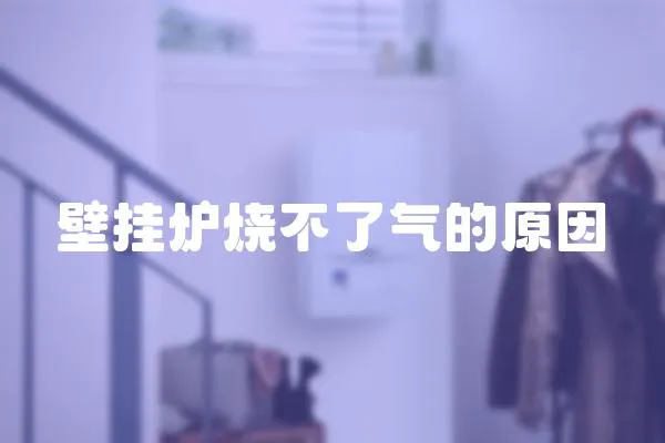 壁掛爐燒不了氣的原因