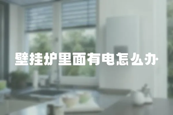 壁掛爐里面有電怎么辦