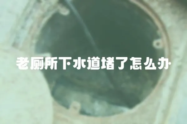 老廁所下水道堵了怎么辦