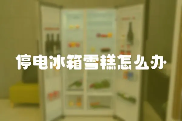 停電冰箱雪糕怎么辦