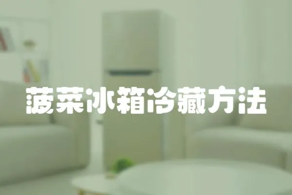 菠菜冰箱冷藏方法