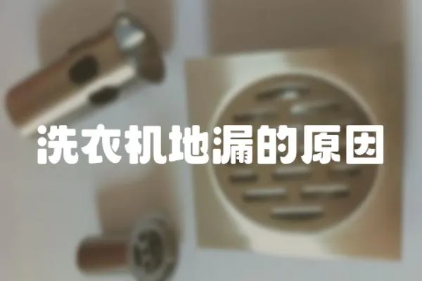 洗衣機地漏的原因