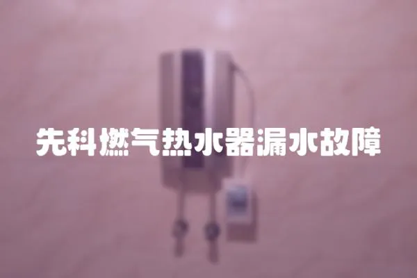 先科燃氣熱水器漏水故障