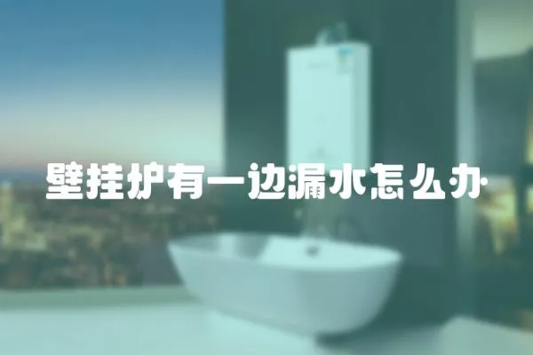 壁掛爐有一邊漏水怎么辦
