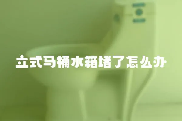 立式马桶水箱堵了怎么办