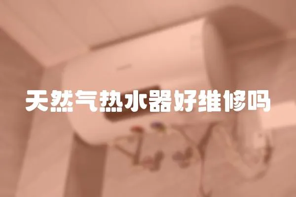 天然氣熱水器好維修嗎