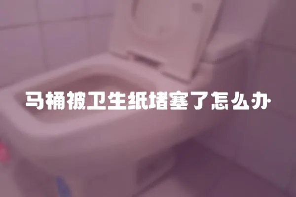 馬桶被衛(wèi)生紙堵塞了怎么辦