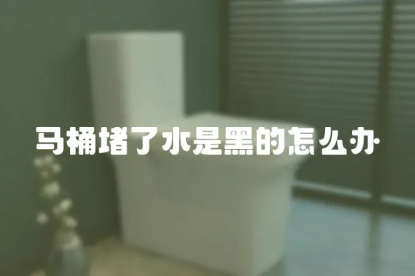 馬桶堵了水是黑的怎么辦