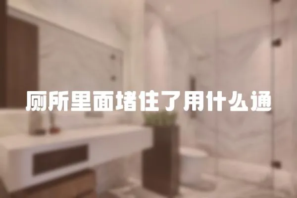廁所里面堵住了用什么通