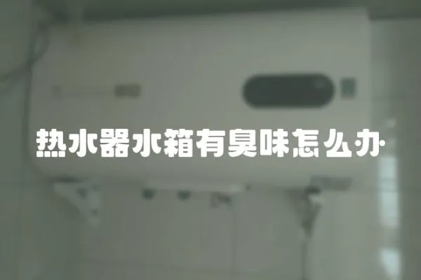 熱水器水箱有臭味怎么辦