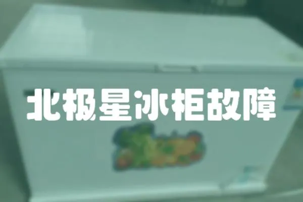 北極星冰柜故障