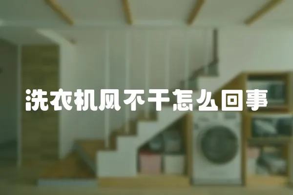 洗衣機(jī)風(fēng)不干怎么回事