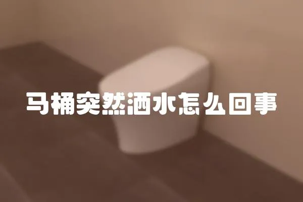 馬桶突然灑水怎么回事