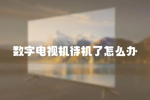 數字電視機待機了怎么辦