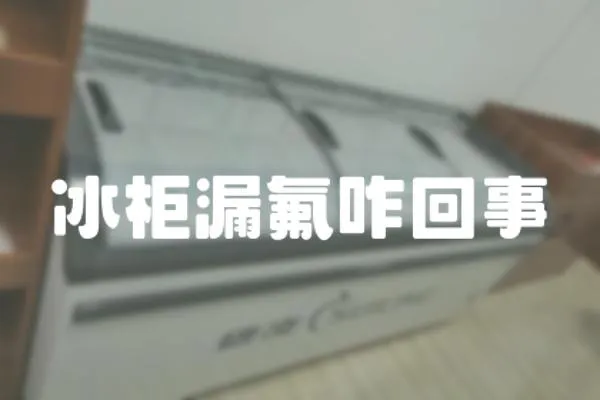 冰柜漏氟咋回事