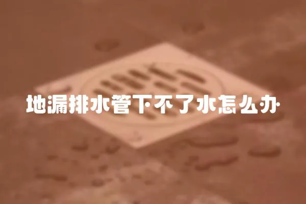 地漏排水管下不了水怎么辦