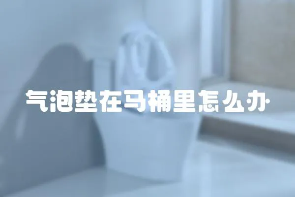 氣泡墊在馬桶里怎么辦