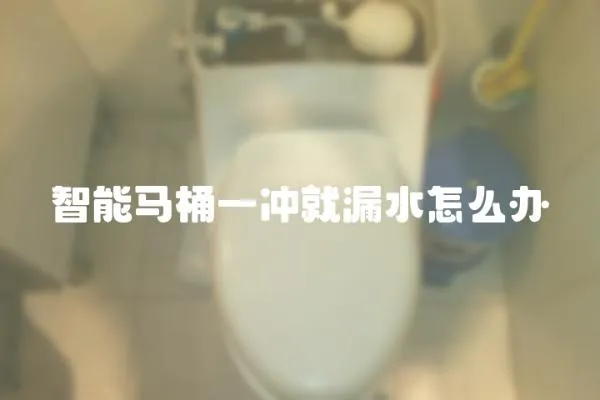 智能馬桶一沖就漏水怎么辦