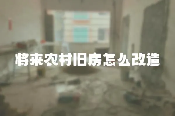 将来农村旧房怎么改造