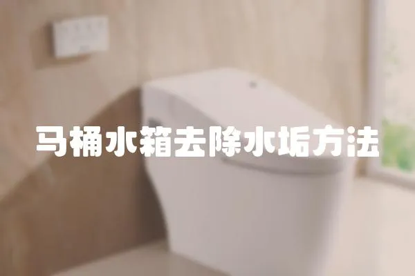馬桶水箱去除水垢方法