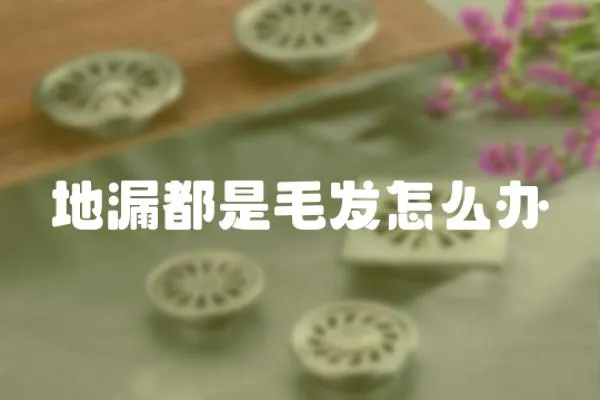 地漏都是毛發怎么辦
