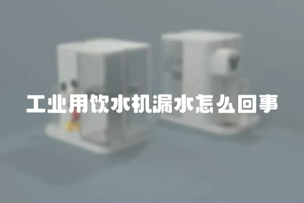 工業(yè)用飲水機漏水怎么回事