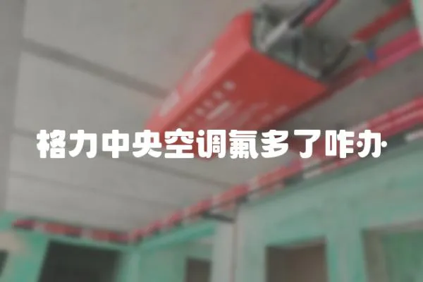 格力中央空調氟多了咋辦