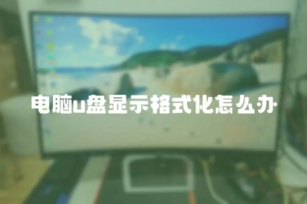 电脑u盘显示格式化怎么办