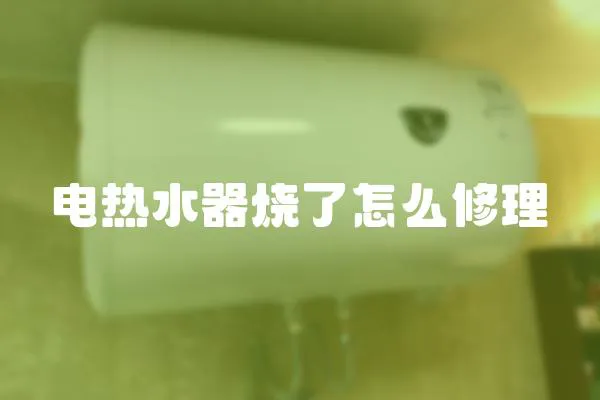 電熱水器燒了怎么修理