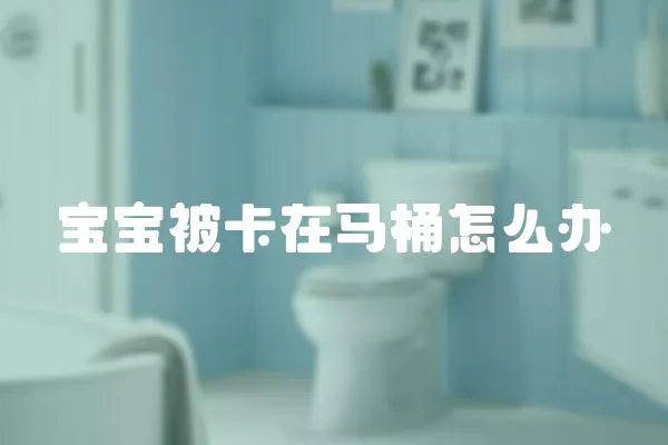 寶寶被卡在馬桶怎么辦