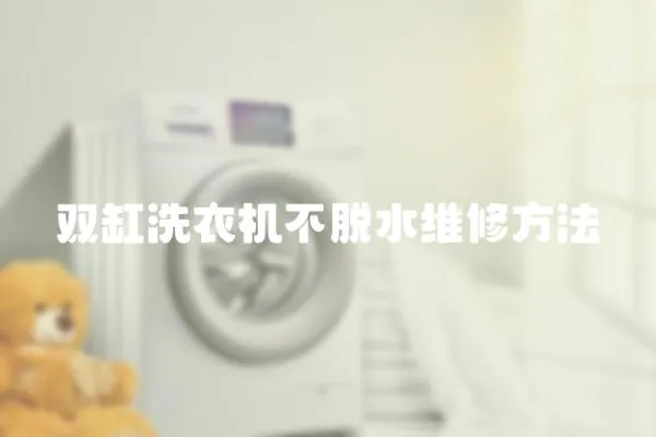 雙缸洗衣機不脫水維修方法