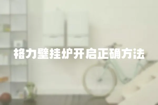 格力壁掛爐開啟正確方法