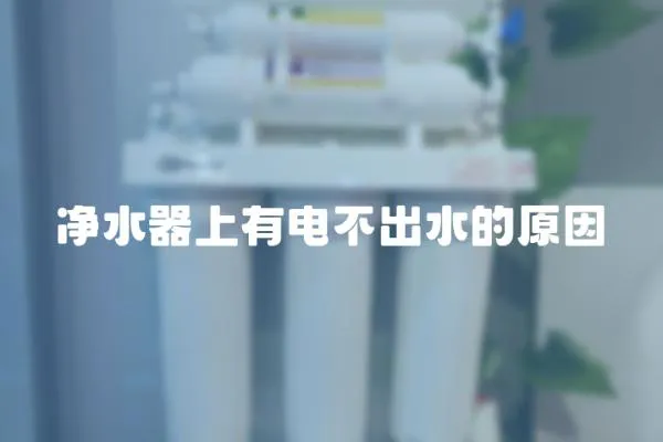 凈水器上有電不出水的原因