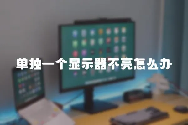 單獨(dú)一個(gè)顯示器不亮怎么辦
