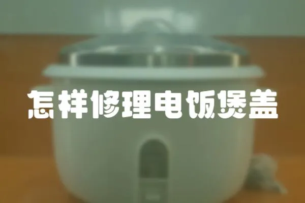 怎樣修理電飯煲蓋