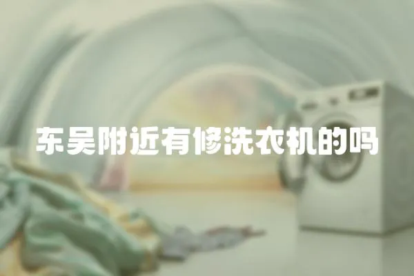 東吳附近有修洗衣機的嗎