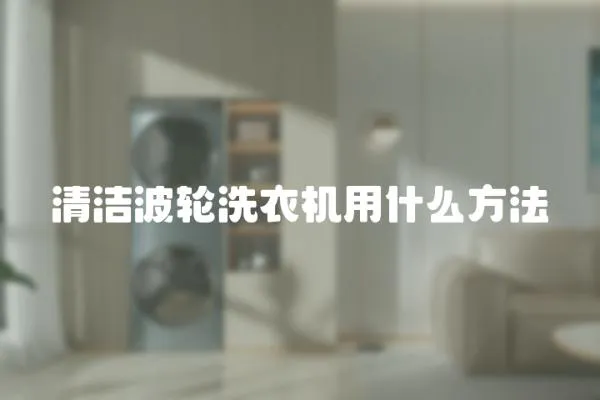 清潔波輪洗衣機用什么方法