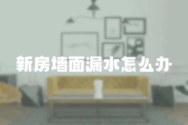 新房墻面漏水怎么辦