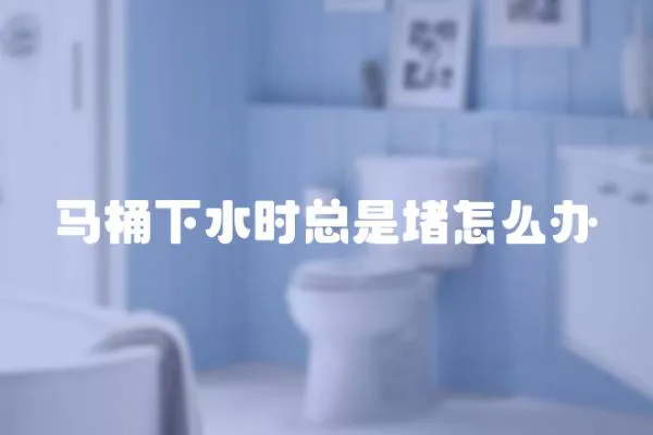馬桶下水時總是堵怎么辦