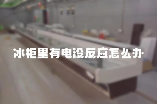 冰柜里有電沒反應怎么辦
