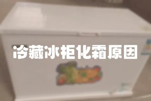 冷藏冰柜化霜原因