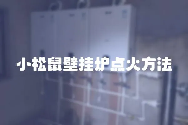 小松鼠壁掛爐點(diǎn)火方法